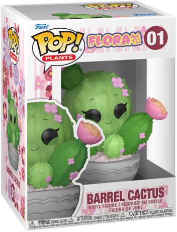 Barrel Cactus