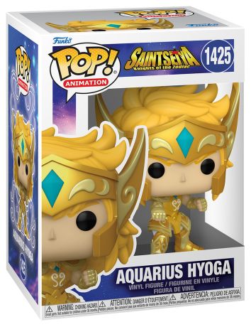 Aquarius Hyoga