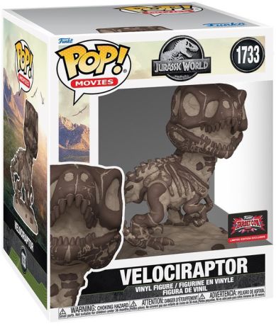 Velociraptor (Fossil) - 6 Inch