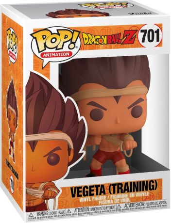 Training Vegeta