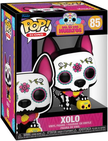 Xolo